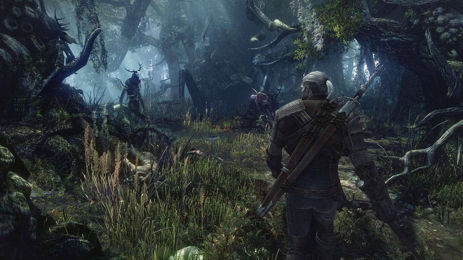 witcher3forest